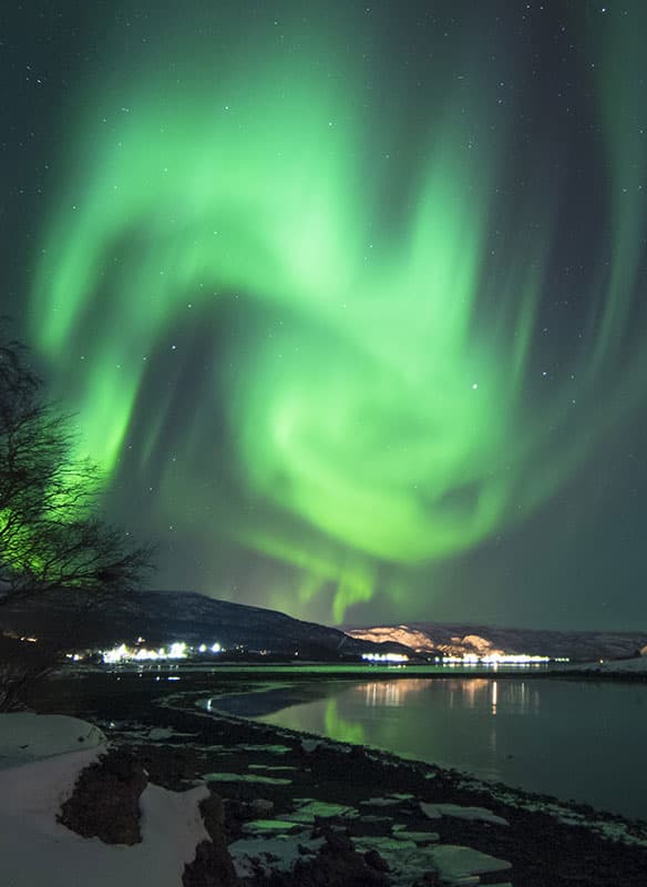 Searching the Aurora with Wil