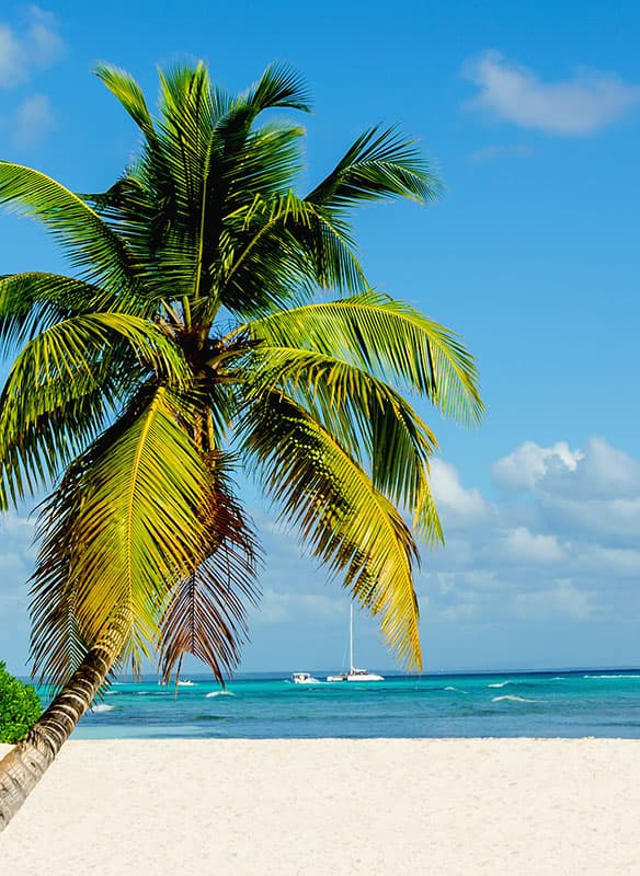 Caribbean Christmas Island-Hopping