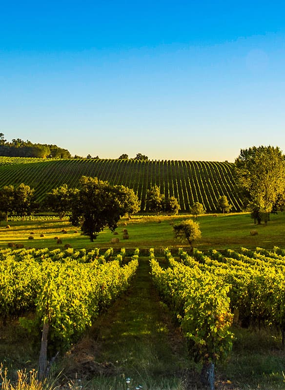 France with Bordeaux & the River Seine