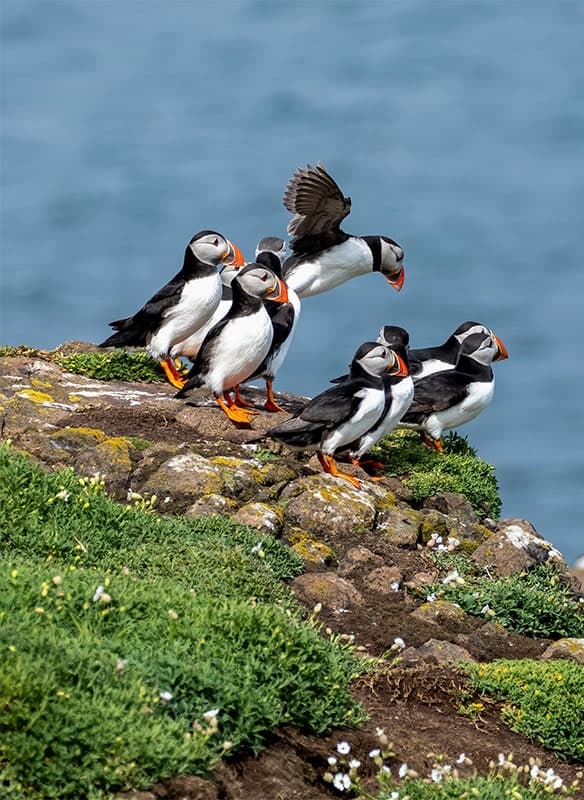 Remote Isles of Scotland