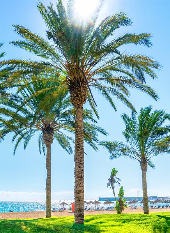 Southern Spain Siesta