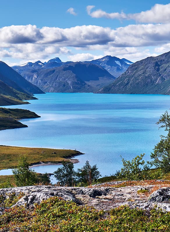 Scenic Summertime Fjords of Norway