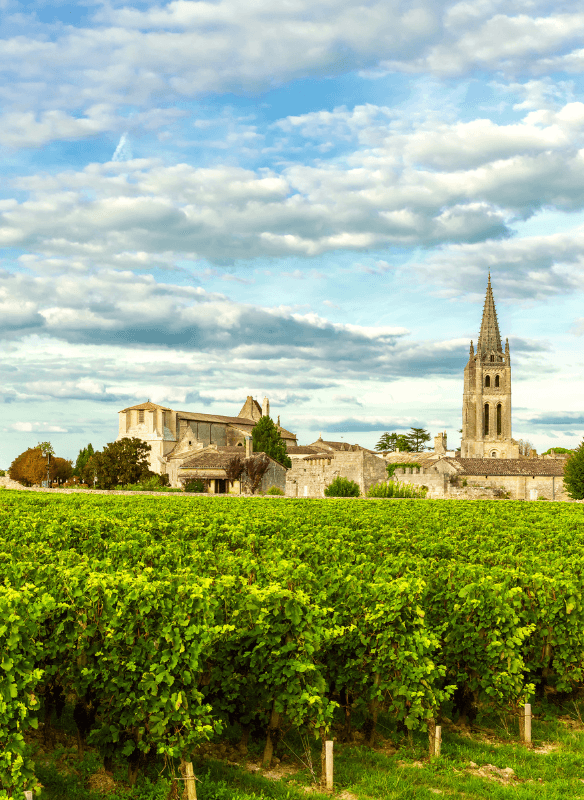 Harbours & Vineyards of France